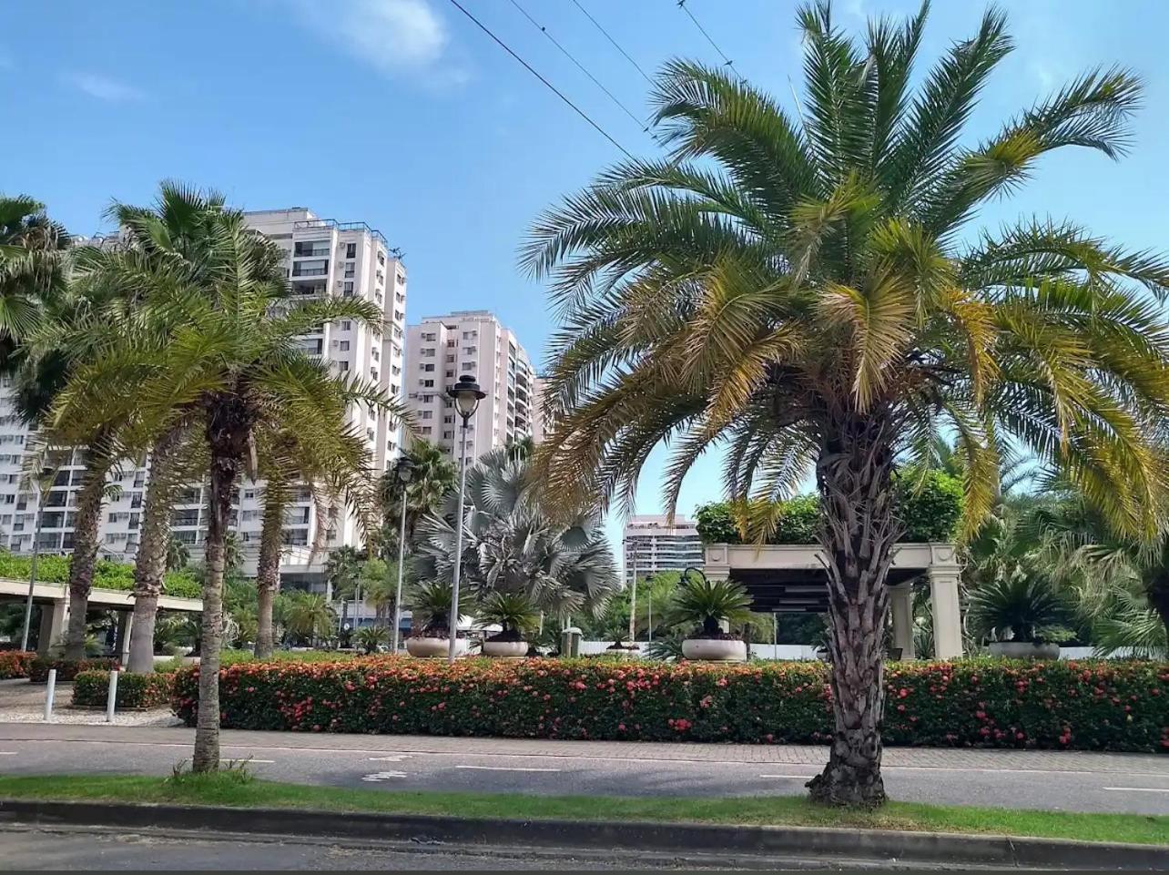 No Coracao Da Barra Olimpica! Rj! * Rio de Janeiro